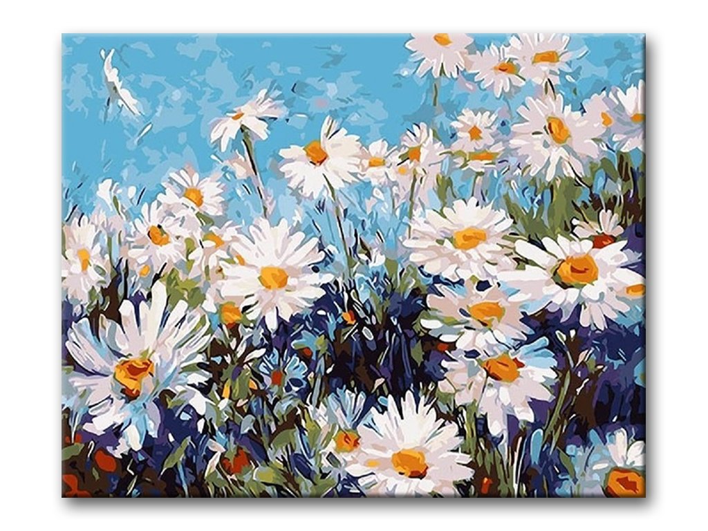 Daisies