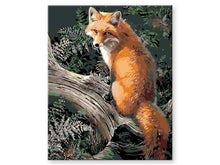 Load image into Gallery viewer, Fox
