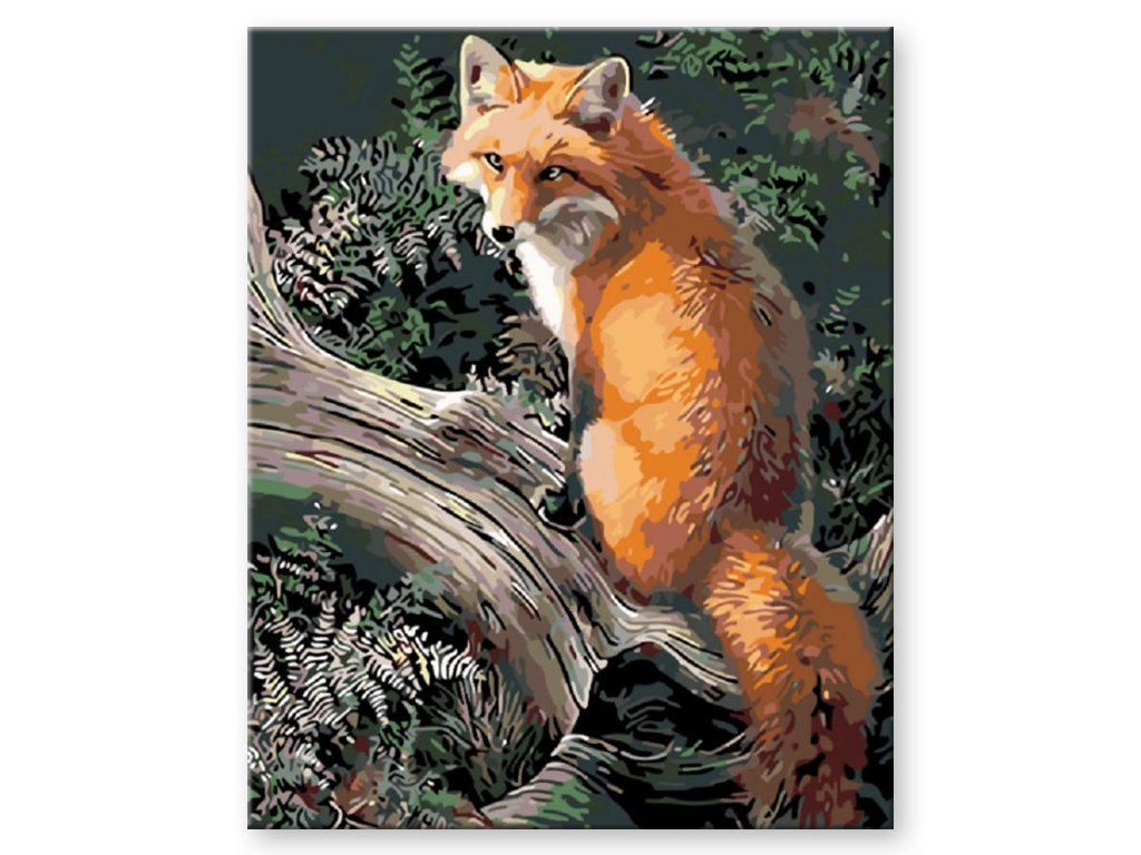 Fox