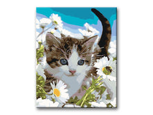 Load image into Gallery viewer, Little Kitten
