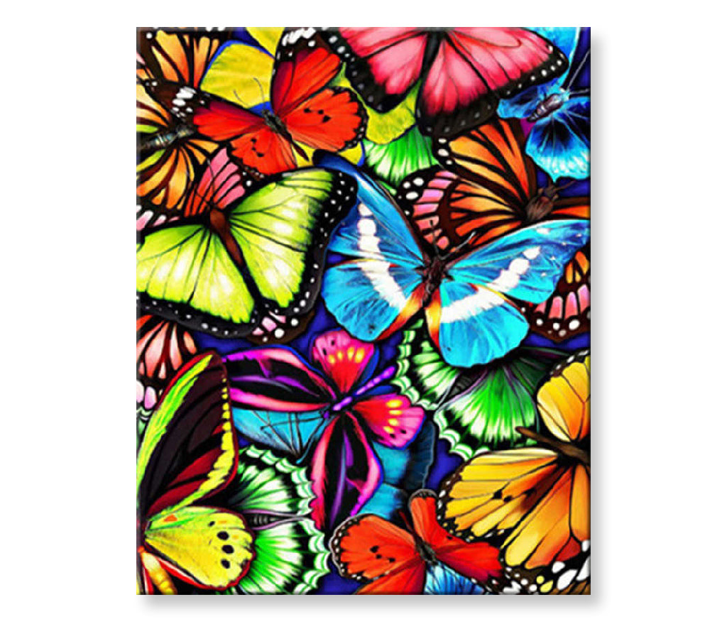 Butterfly Rainbow